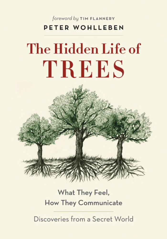 The Hidden Life of Trees: What They Feel, How They Communicate: Discoveries from a Secret World