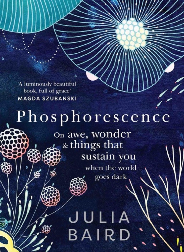 Phosphorescence: On Awe, Wonder and Things That Sustain You When the World Goes Dark