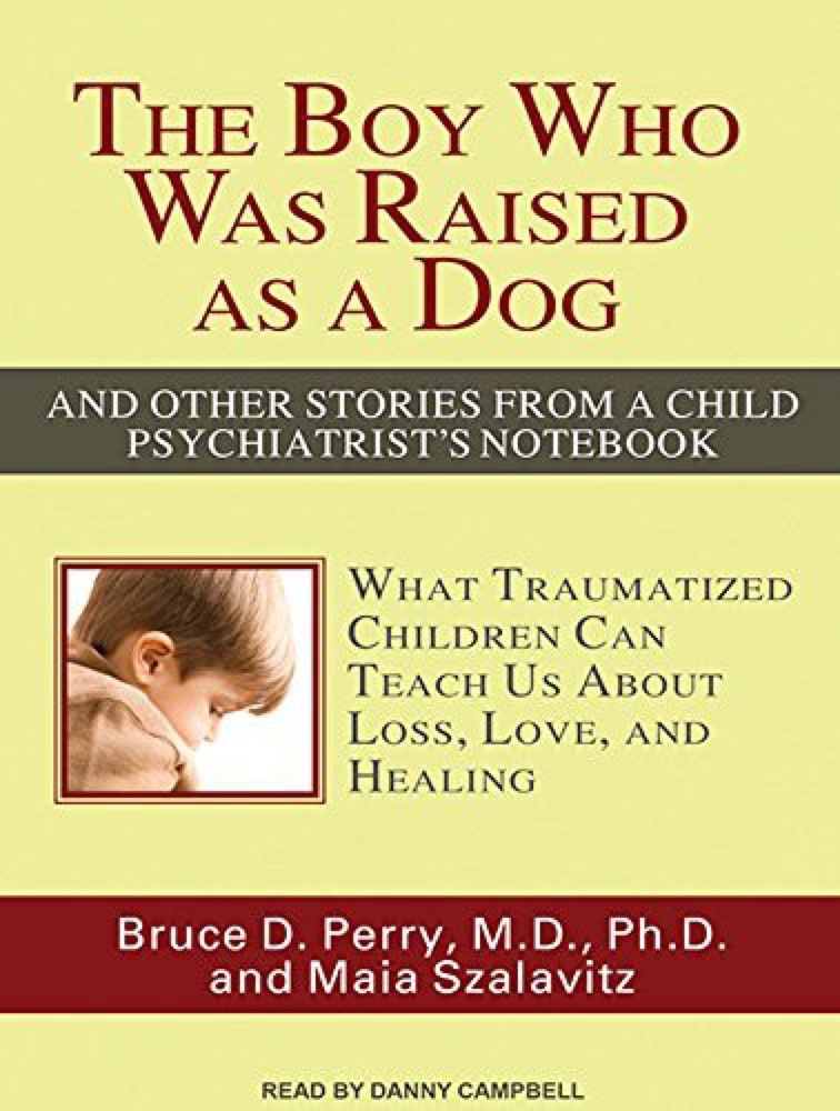 The Boy Who Was Raised as a Dog: And Other Stories from a Child Psychiatrist's Notebook