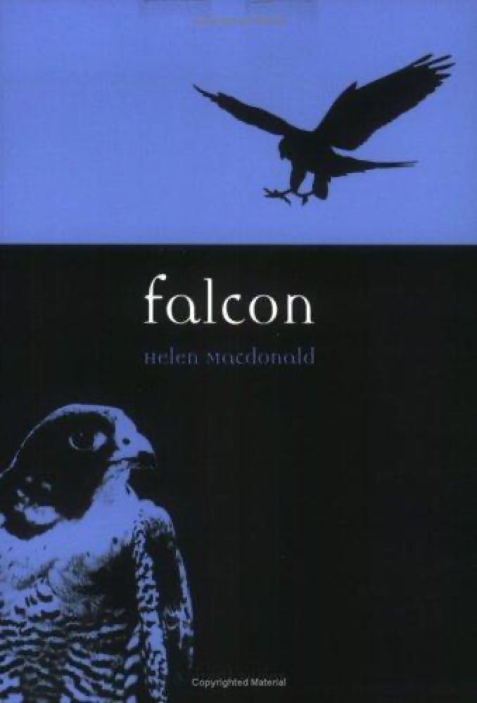 H is for Hawk