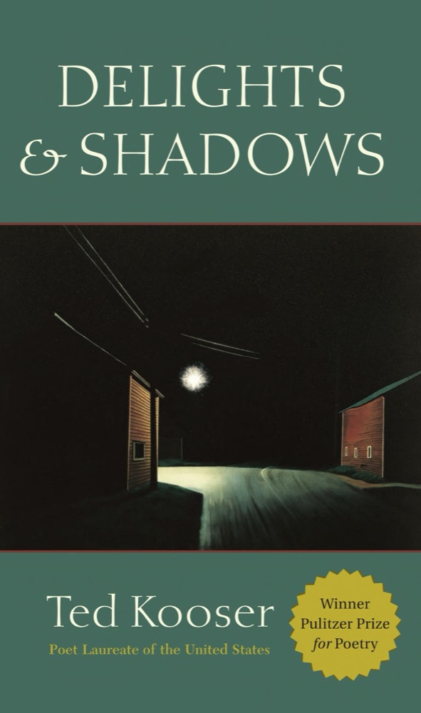 Delights and Shadows