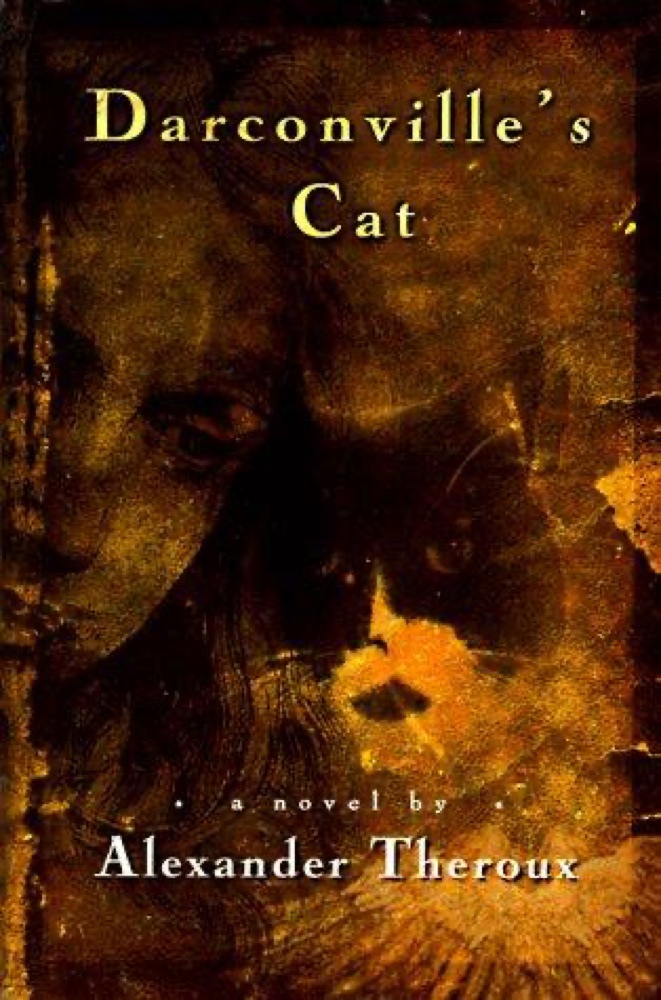 Darconville’s Cat