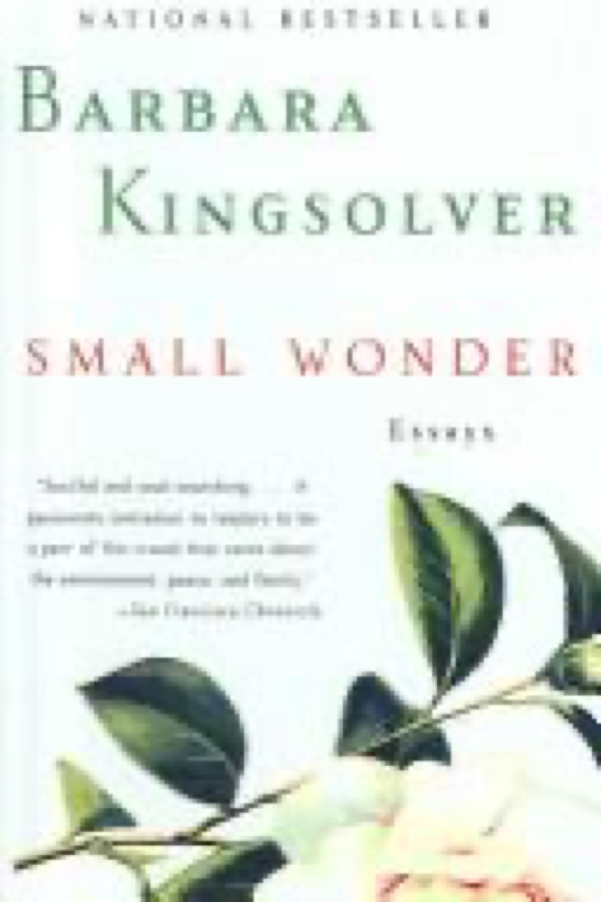 Small Wonder