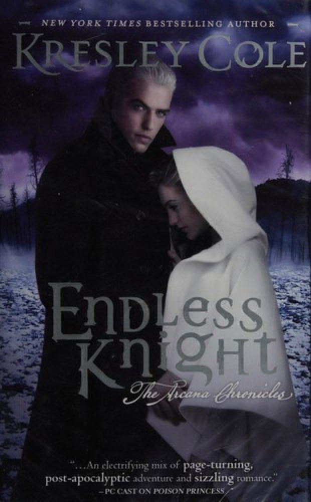 Endless Knight