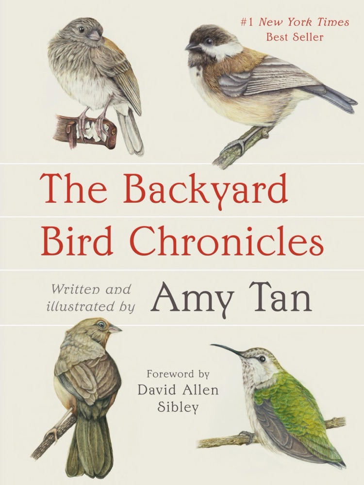 The Backyard Bird Chronicles