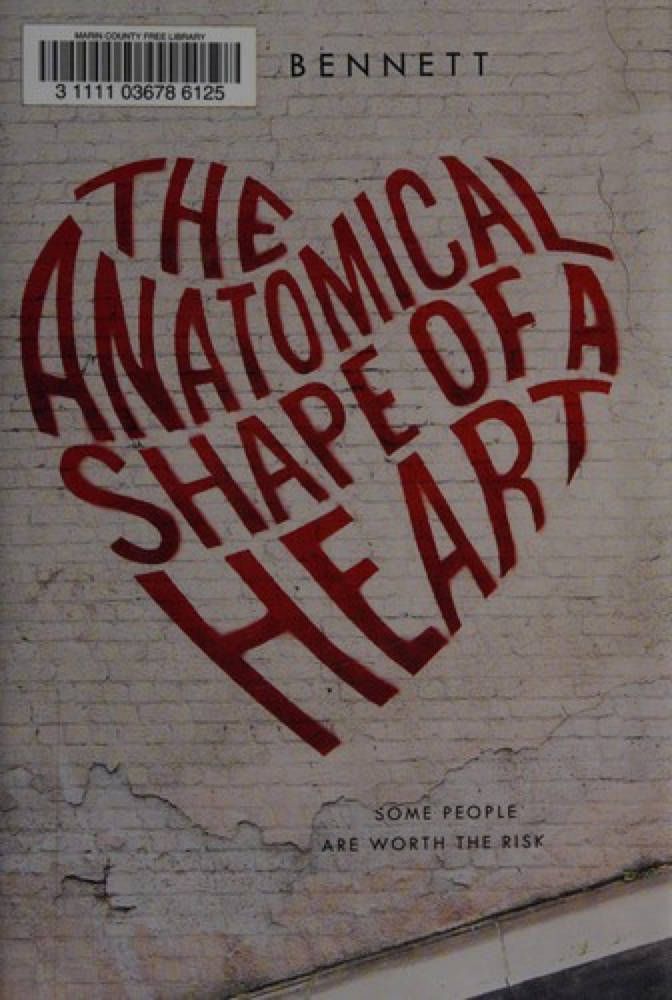 The Anatomical Shape of a Heart