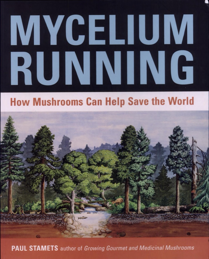 Mycelium Running: How Mushrooms Can Help Save the World