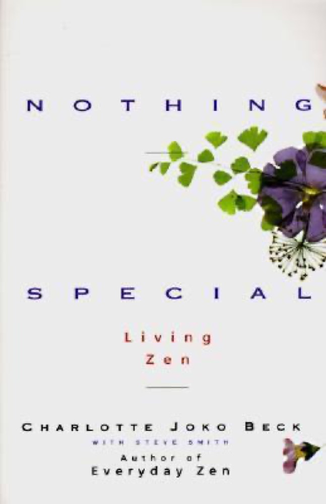 Nothing Special: A Zen Buddhist Guide to Awakening Through Daily Life's Feelings, Relationships, and Work