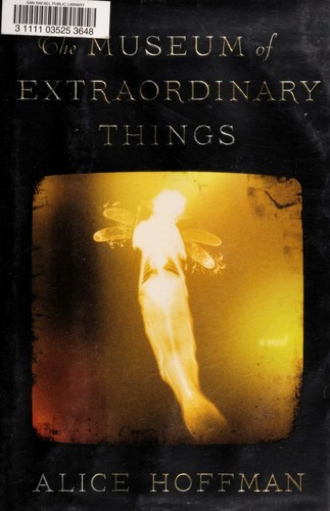 The Museum of Extraordinary Things