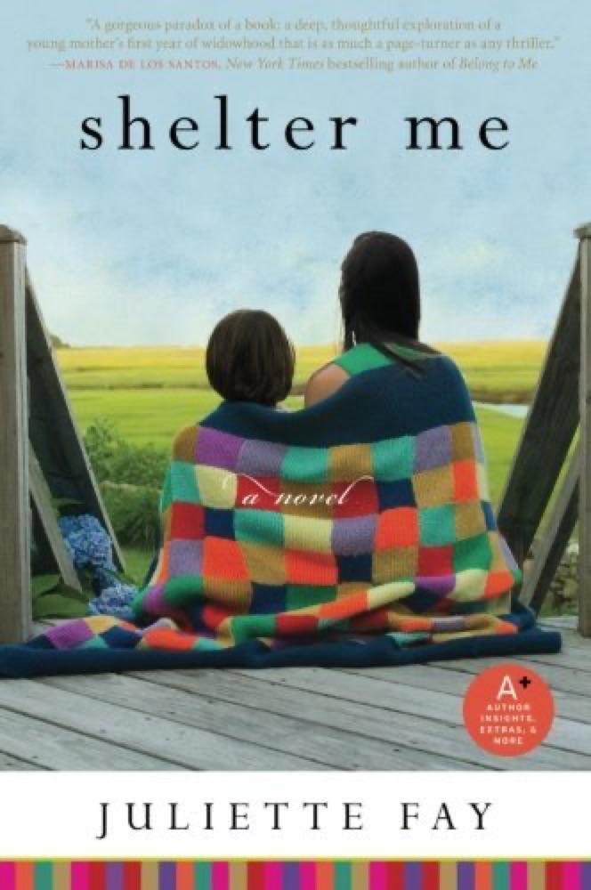 Shelter Me: A Novel About Grief, Fierce Motherhood, and Unexpected Love