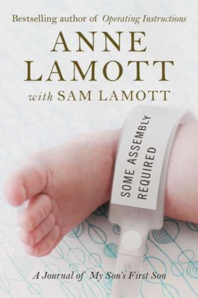 Some Assembly Required: A Journal of My Son's First Son