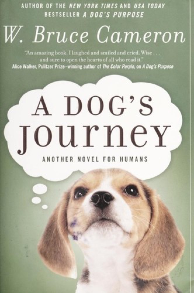 A Dog's Journey