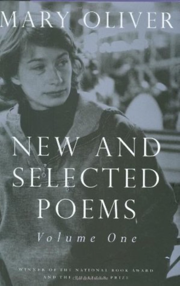 New and Selected Poems, Vol. 2
