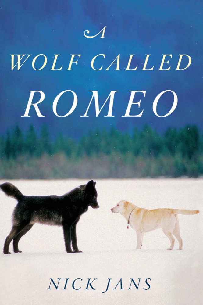 A Wolf Called Romeo