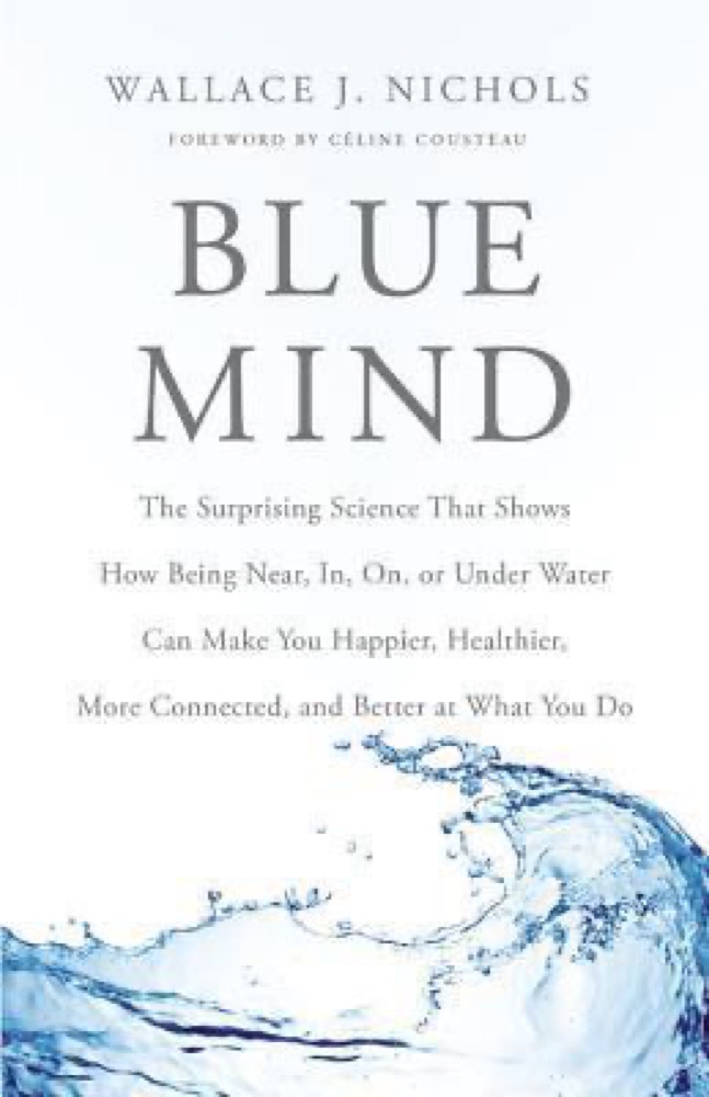 Blue Mind: The Surprising Science That Shows How Being Near, In, On, or Under Water Can Make You Happier, Healthier, More Connected, and Better at What You Do