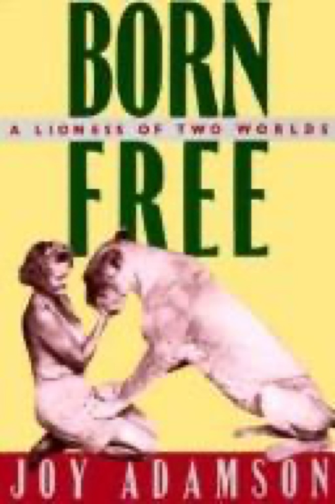 Born Free: A Lioness of Two Worlds