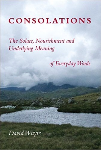 Consolations: The Solace, Nourishment and Underlying Meaning of Everyday Words