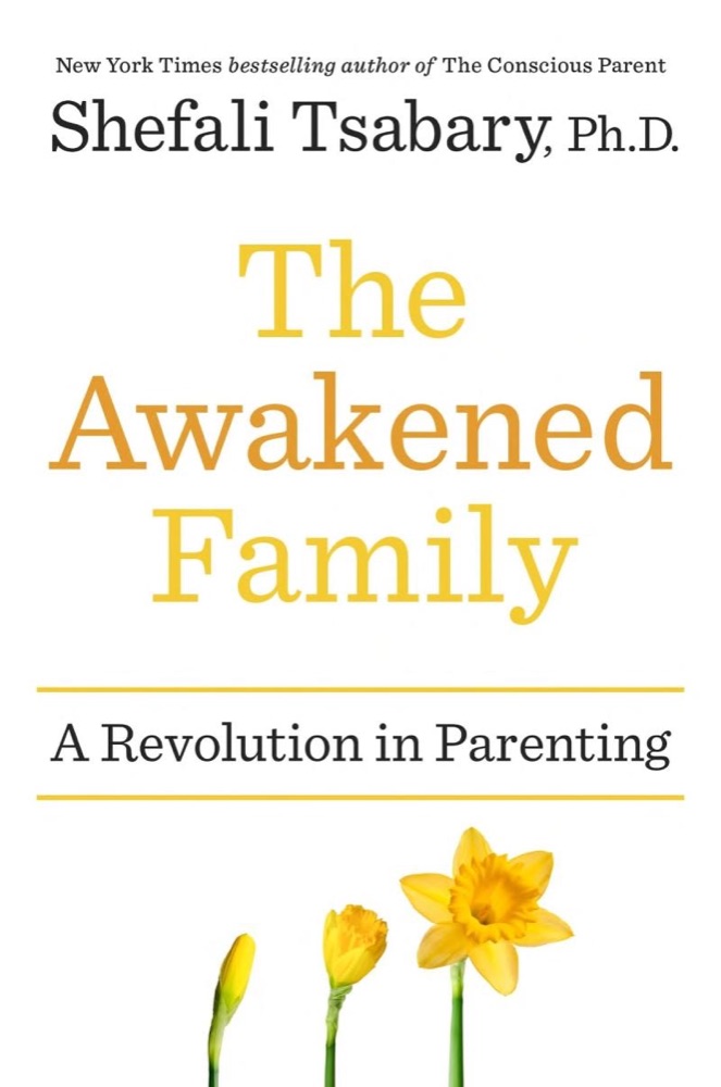 The Awakened Family: A Revolution in Parenting