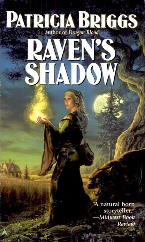 Raven's Shadow