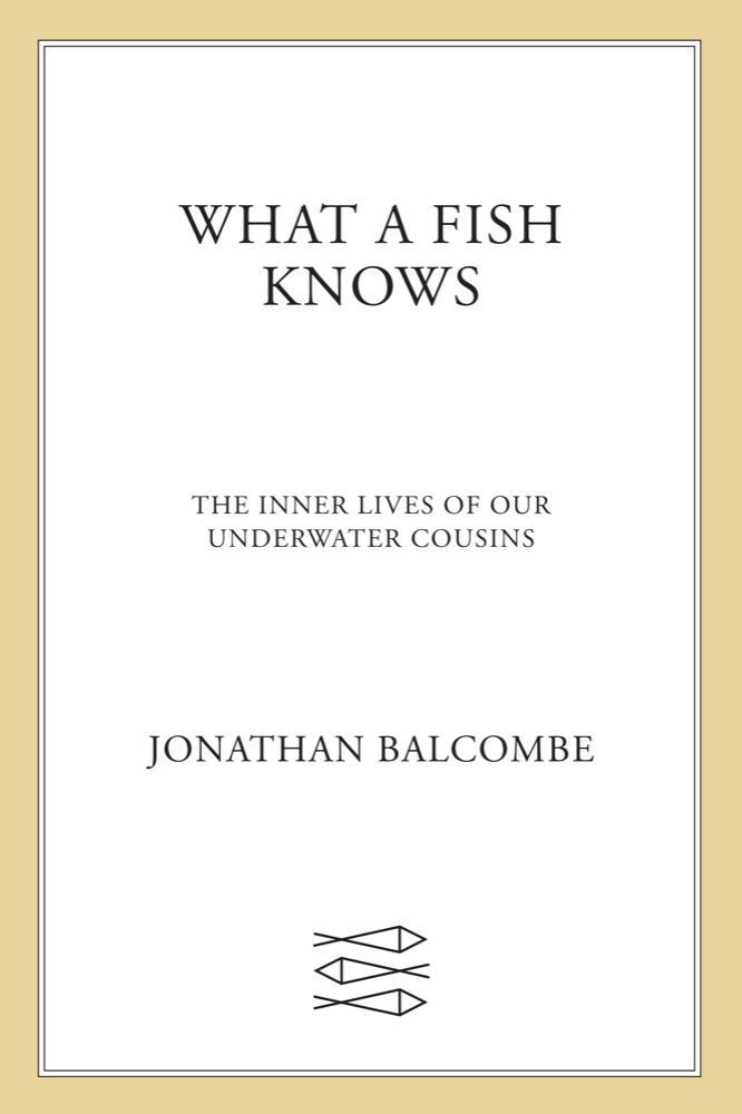 What a Fish Knows: The Inner Lives of Our Underwater Cousins