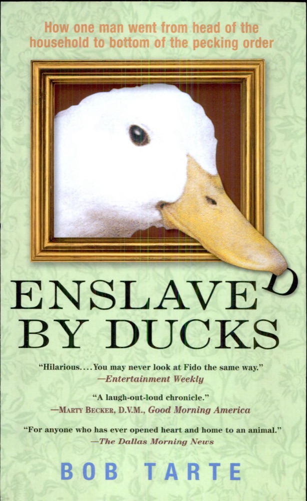 Enslaved by Ducks