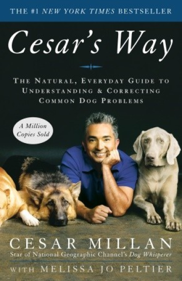 Cesar's Way: The Natural, Everyday Guide to Understanding and Correcting Common Dog Problems