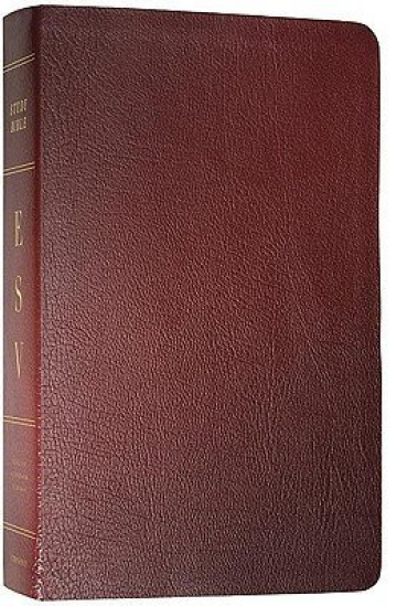 Study Bible-ESV